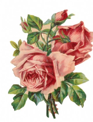 复古玫瑰花图片