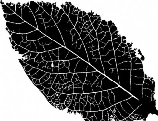 黑色万圣节元素设计矢量素材