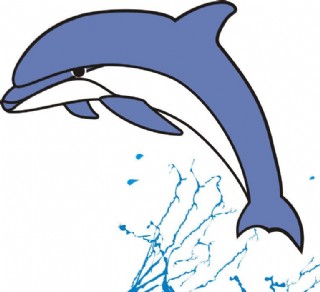 海豚水花矢量图图片