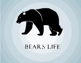 棕熊logo