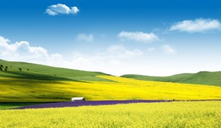 北欧小清新彩色创意图案装饰画